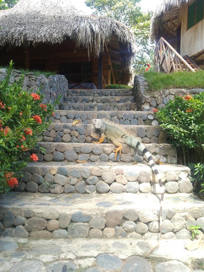 Ecocabanas Diosa Jaguar Tayrona La Esmeralda  Exteriör bild