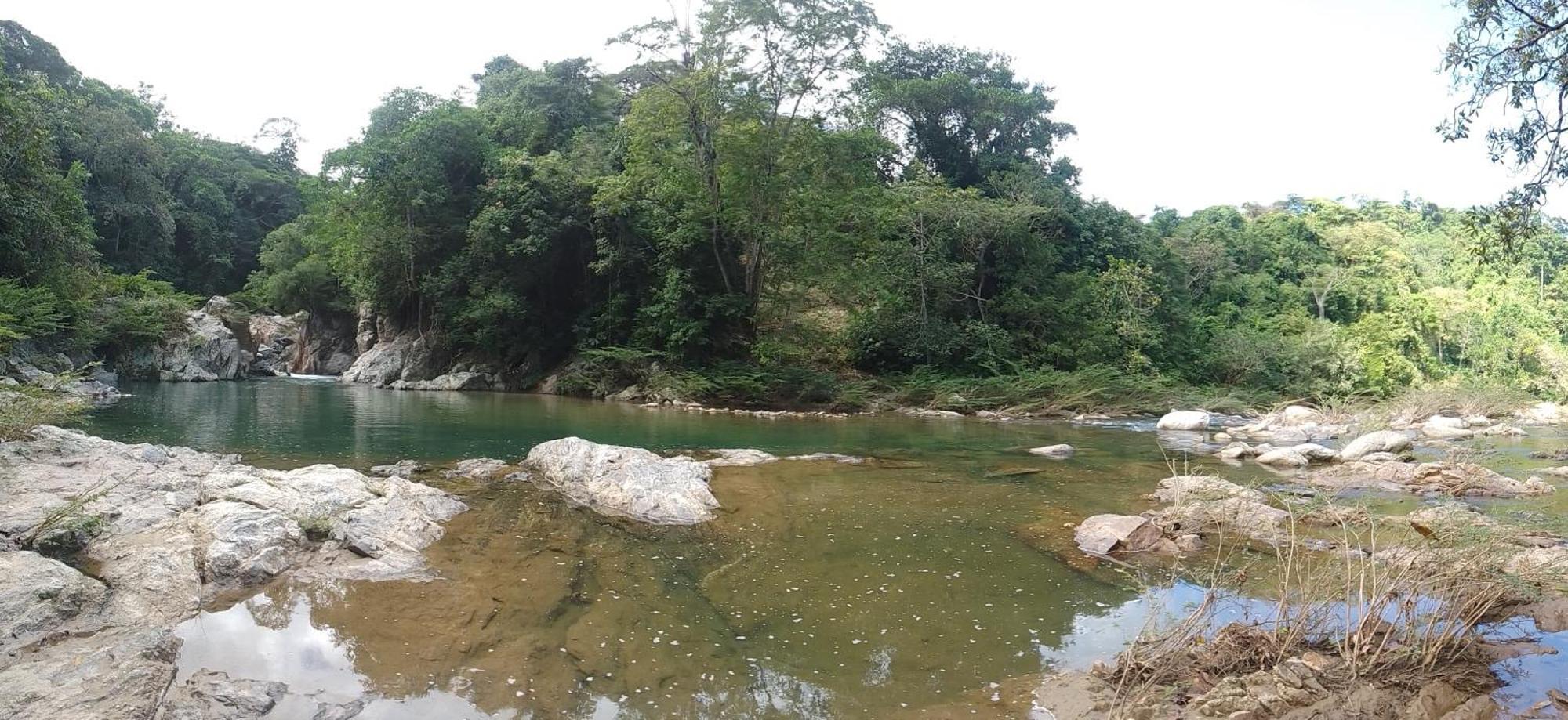 Ecocabanas Diosa Jaguar Tayrona La Esmeralda  Exteriör bild