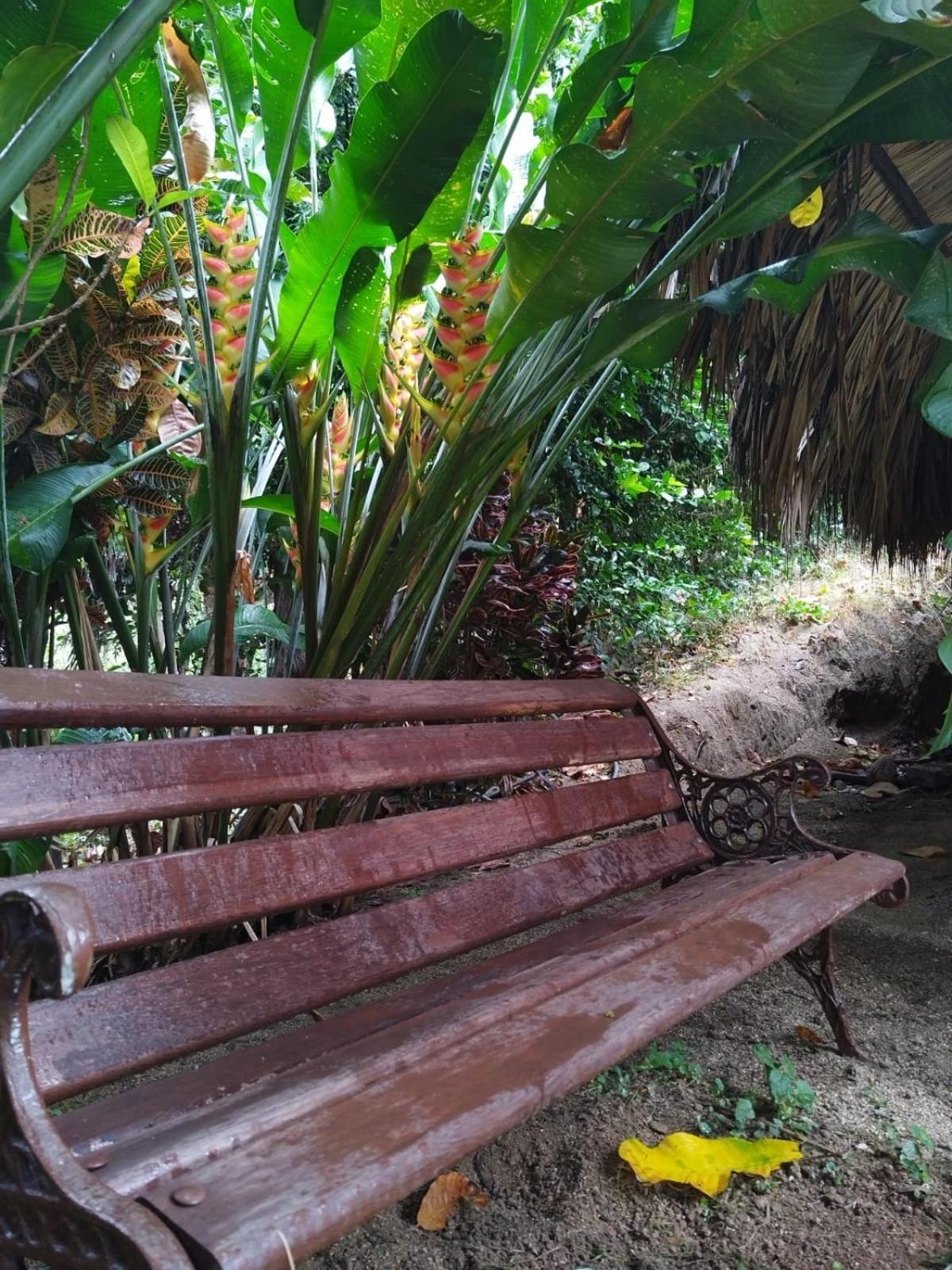Ecocabanas Diosa Jaguar Tayrona La Esmeralda  Rum bild