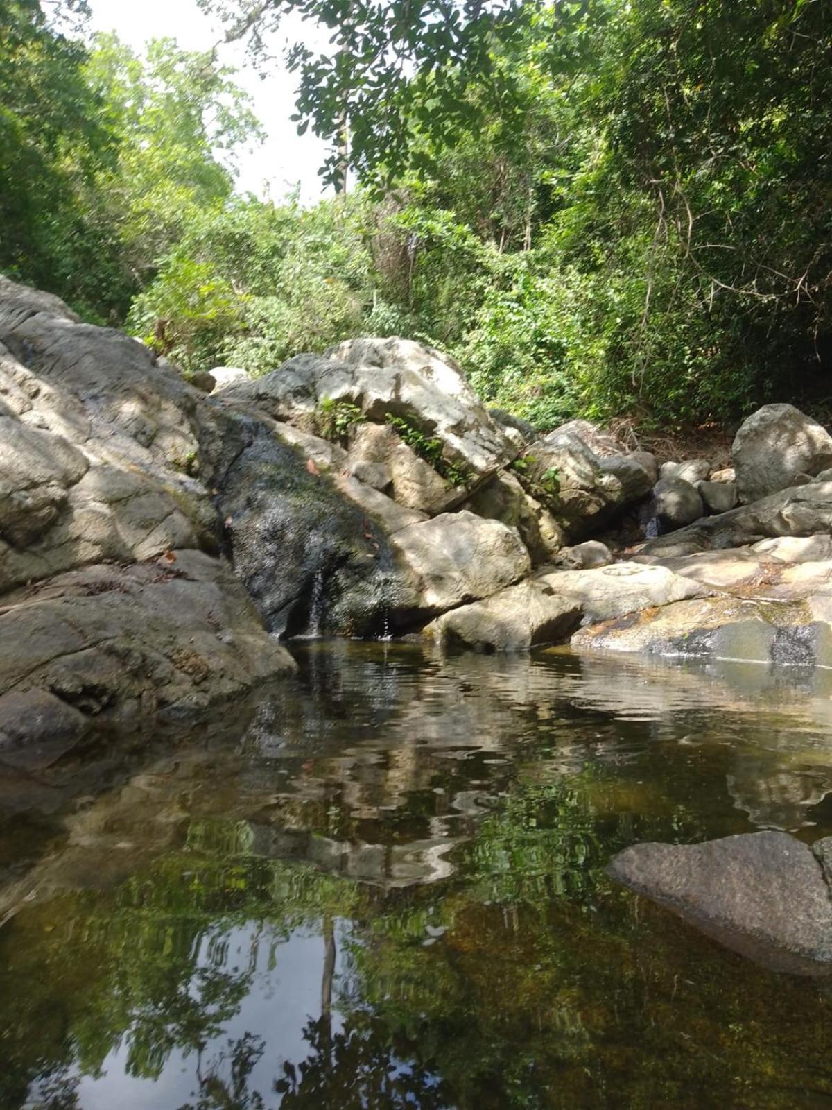 Ecocabanas Diosa Jaguar Tayrona La Esmeralda  Exteriör bild