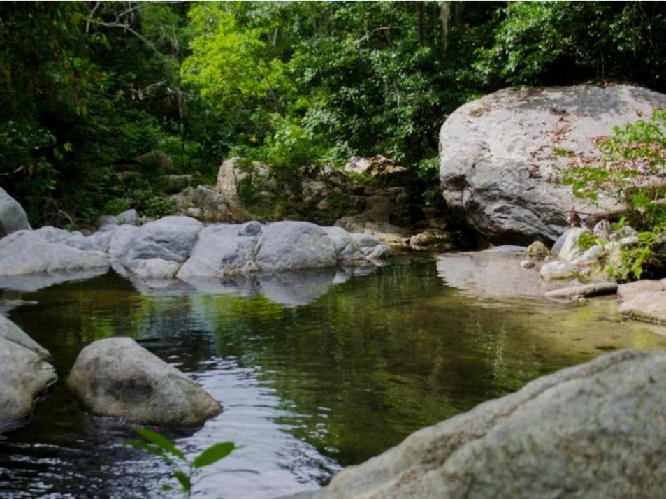 Ecocabanas Diosa Jaguar Tayrona La Esmeralda  Exteriör bild