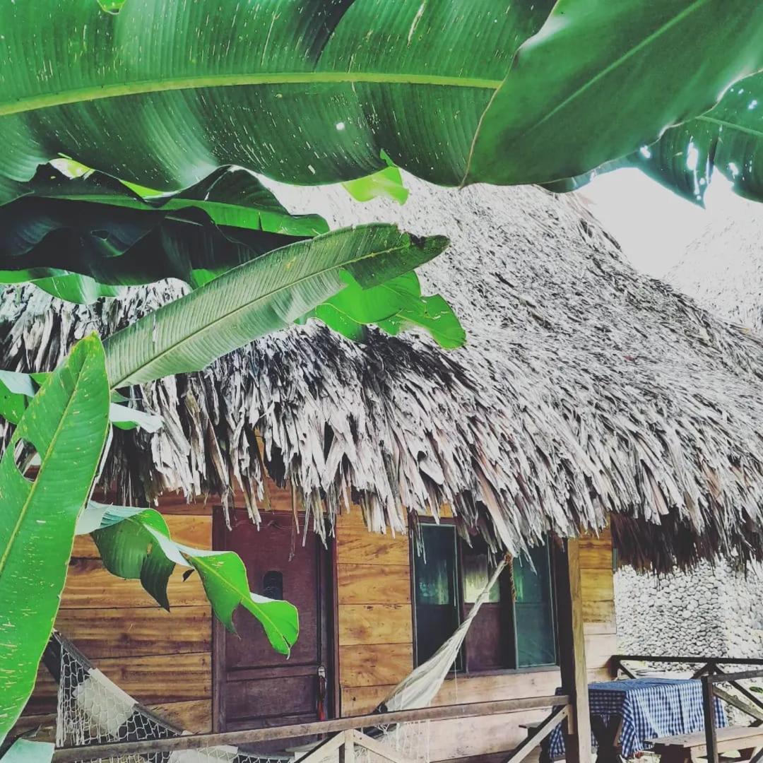 Ecocabanas Diosa Jaguar Tayrona La Esmeralda  Exteriör bild