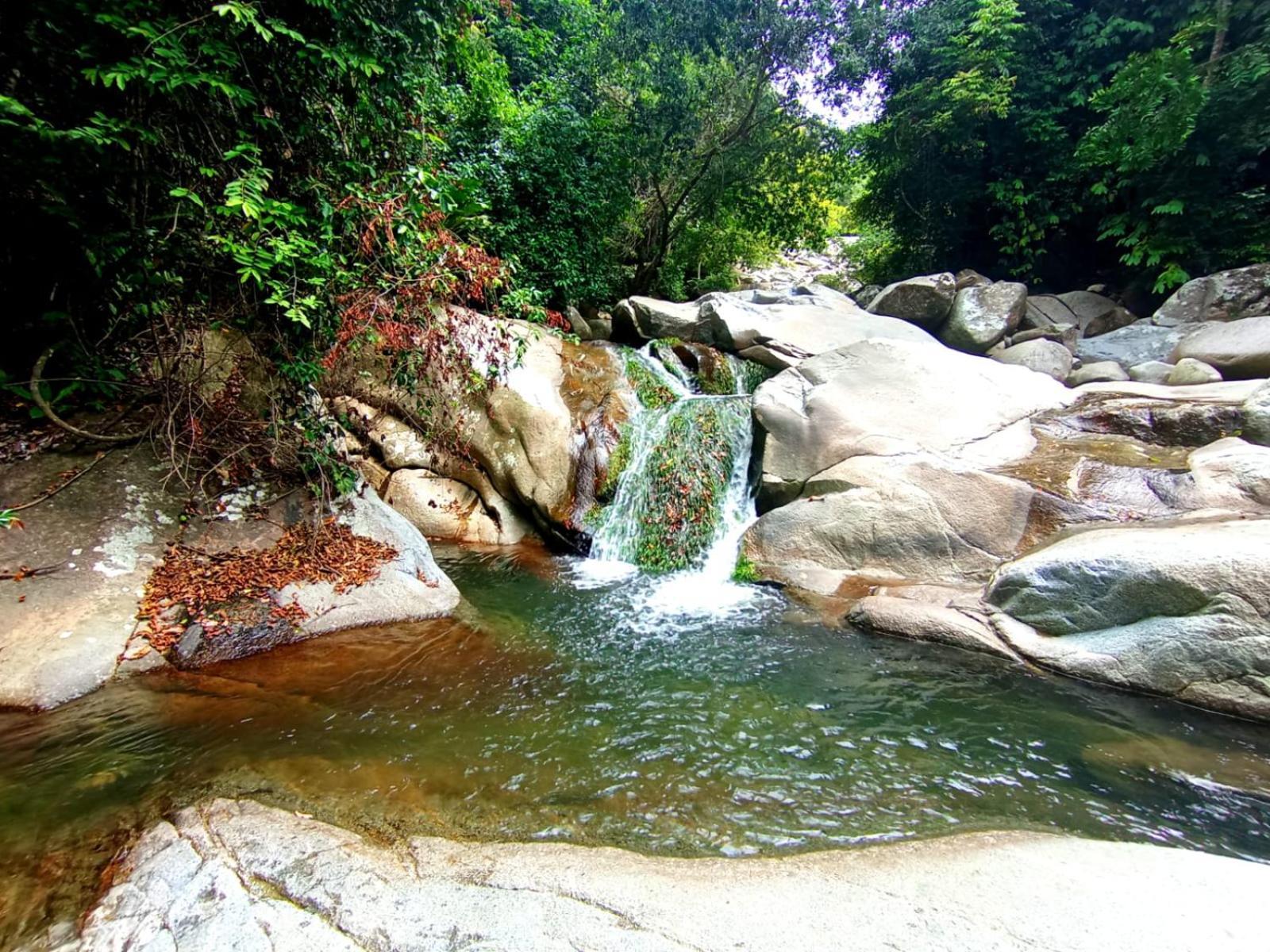 Ecocabanas Diosa Jaguar Tayrona La Esmeralda  Exteriör bild